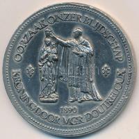 Hollandia 1990. "100 éves koronázási ünnepségek" fém emlékérem (40mm) T:2
Netherlands 199...