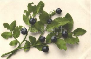 7 db RÉGI motívumlap; gyümölcsök / 7 old motive cards; fruits