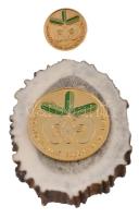 DN "Budavidéki Állami Erdő- és Vadgazdaság" fém érem agancs darabon, jelvénnyel együtt T:1-