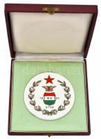 1964. "Magyar Néphadsereg 3705 (150. Közlekedési Műszaki Dandárparancsnokság" porcelán pla...