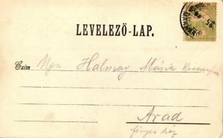 Huszt, Rákóczi utca, bútorüzlet; Huszti Nyomda Vállalat kiadása / street, floral