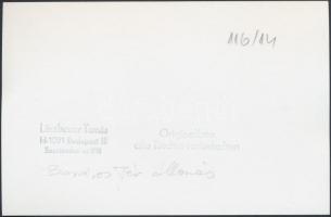 cca 1960-1970 Linzbauer Tamás: Budapest, Boráros tér, HÉV megálló, pecséttel jelzett fotó, 11x16 cm