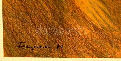 Fenyvesi Márta: (1956-): Királyfi madárral. Nyomat, papír, 13×9 cm