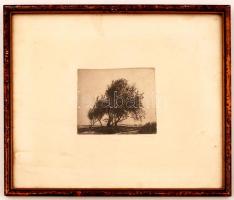 Barcsay Jenő (1900-1988): Nagy fa. Rézkarc, papír, jelzett, üvegezett keretben, 14×16 cm