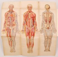 Bilz, F. E. - Az új természetes gyógymód. I-II. Bp., é.n. A szerző. 2073 p. Aranyozott félvászon köt...