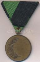 ~1920. "Buda-Pesti Sport Club 1900" Br díjérem mellszalaggal (35,5mm) T:2,2- kis ph