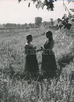 cca 1938 Reich Péter Cornel 7 db vintage fotója, egy jelzett, a többi jelzés nélküli a szerző hagyatékából, 17x17 cm és 24x18 cm közötti méretben