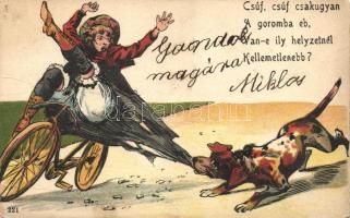 'Csúf, csúf csakugyan...' / Bicycle accident, Lady, Dog, humour, litho (fa)