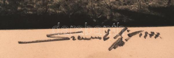 Szennik György (1923-2007): Badacsonyörsi strand. Rézkarc, papír, jelzett, üvegezett keretben, 29×49...