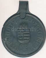 1894. "Éljen a Szabadelvű Egyházpolitika" fém jelvény (50mm) T:2-