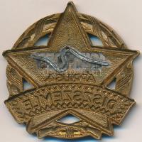 1955. "Díszszemle 1945-1955. április 4." zománcozott fém jelvény, tű nélkül (42x42mm) T:2