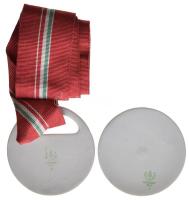 1984. "Salgóbánya 1984 III" hollóházi porcelán díjérem nyakszalagon (~64mm) + "Ország...