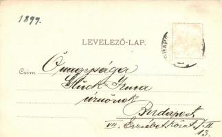 1899 Société Secession Paris No. 508, Art Nouveau, (gluemark)