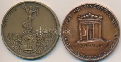 Szolláth György (1927-) 1982. "MÉE XII. Vándorgyűlése / Marcus Aurelius" Br emlékérem (42,...