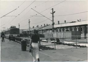 1982 Budapest, Boráros tér, villamos és HÉV megálló, 9 db fotó, 10x15 cm