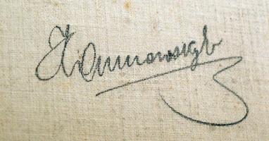 cca 1920 Kankowszky Ervin (1884-1945): Gróf Wellington szobra Londonban, nemeseljárással készült, al...