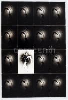 cca 1975 Csepregi Csegő: Kukorica, feliratozott vintage fotóművészeti alkotás, 39x26 cm