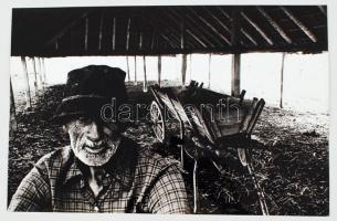 cca 1970 Ilku János: V. J. portréja, feliratozott vintage fotóművészeti alkotás, 26x39 cm