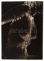 cca 1972 Darkó István: Akt, feliratozott vintage fotóművészeti alkotás, kartonra kasírozva, 39x28 cm