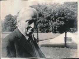 Méliusz József (1909-1995) erdélyi író, költő, műfordító, fotója, 18x24cm