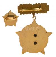 ~1980. "Kiváló Újító" kitüntetés arany fokozata miniatűrrel tokban T:2