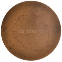 1967. "Csepel Vas- és Fémművek 75 év 1892-1967" Br emlékérem eredeti tokban (60,5mm) T:1-,...