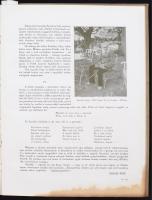 Petőfi album. A Pesti Napló előfizetőinek készült kiadás. Bp., é.n., Pesti Napló. Kiadói, aranyozott...