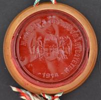 1939 Magyar Királyi Erzsébet Tudományegyetem jogi diploma viasz pecséten kis repedéssel egyébként sz...