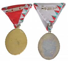 2002. "Szolgálati Érdemjel arany fokozata" zománcozott, aranyozott tombak kitüntetés mells...