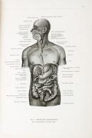 Kiss-Szentágothai: Az ember anatómiájának atlasza. I-III. Bp., 1959-64, Medicina. Kiadói félvászonkö...