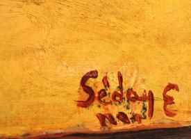 Séday jelzéssel: Csendélet,olaj, farost, keretben,  32x24cm