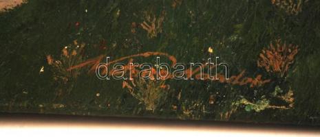 Katona jelzéssel: Alpesi táj, olaj, vászon, javított repedésekkel, 44x60cm