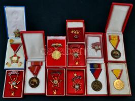 12db-os szocialista jelvény, kitüntetés tétel, legtöbb dísztokban, benne "Munkásőr", "Kiváló Dolgozó", "Kiváló Termelőszövetkezeti Dolgozó", "Haza Fegyveres Szolgálatában", "Kiváló Munkáért", "Honvédelmi Érdemérem" T:1,1-,2