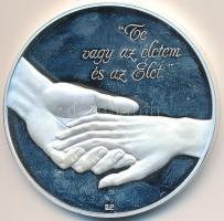 DN "Te vagy az életem és az élet / 25 éve együtt" jelzett Ag emlékérem mesterjeggyel (30,9...