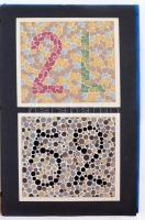 Karl Verhagen: Tafeln zur Prüfung des Farbensinnes. Leipzig., é.n., Veb Georg Thieme. Színlátás-vizs...