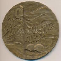 Lengyelország 1985. "Győzelem 40. évfordulója/ 1945-1985" kétoldalas Br érem. Szign.: JM (...