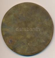 ~1970-1980. "Magyar Néphadsereg" egyoldalas Br érem (95mm) T:2