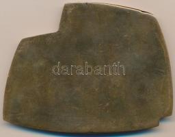 1955. "Varsói Szerződés" egyoldalas Br plakett (95x75mm) T:2