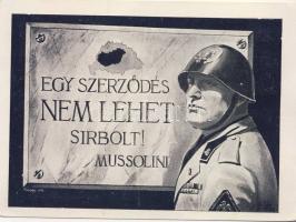 Mussolini irredenta lap