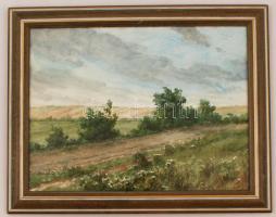 Barabás Gizella (1893-1985): Tájkép. Akvarell, papír, jelzett, üvegezett keretben, 29×38cm