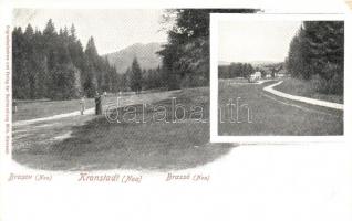 Brassó, Brasov; Noa park, látkép, kiadjaa Wilhelm Hiemesch / Noa park, general view (EK)