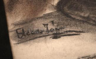 Stein jelzéssel: Büszt. Szén, papír, üvegezett keretben, jelzett, 58x36 cm