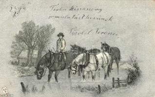 25 db RÉGI motívumlap pár dombornyomott és litho lappal, vegyes minőség; művész, katonai, üdvözlő / ...