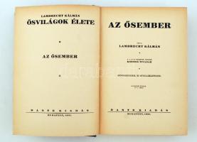 Lambrecht Kálmán: Az Ősember, ősvilágok élete. Bp., 1931. Dante. Kiadói, a gerincnél kissé szakadt, ...