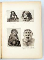 Lambrecht Kálmán: Az Ősember, ősvilágok élete. Bp., 1931. Dante. Kiadói, a gerincnél kissé szakadt, ...