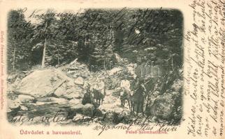 Felsőszombatfalva, Sambata de Sus; hegymászók lovon a Fogarasi Havasokban, kiadja Ehrenwald Henrik / alpinists on horseback in Fagaras Mountains (EK)