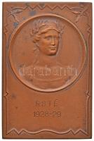 1929. "1928-1929. "RSTÉ" Br plakett (60x40mm) T:1-,2