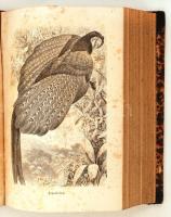 Alfred Edmund Brehm: Die Vögel. Separatausgabe aus dem illustrirten Thierleben. Zweiter Band. Hildbu...