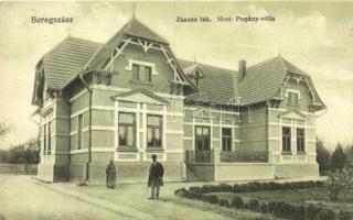 Beregszász, Berehove; Pogány villa, korábban Zsazsa lak, kiadja Farkas és Földes / Villa Pogány, formerly Zsazsa-house