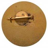 ~1970-1980. "Oroszlányi Szénbányák 30 éves Törzsgárda" aranyozott, zománcozott fém jelvény...